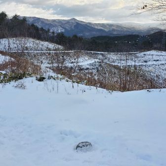 三角点のところにあった木も伐採されていました。遠くにパークランドの観覧車。