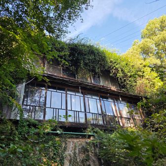 数年前に来た時にランチしたカフェ...しばらく使われてない様子