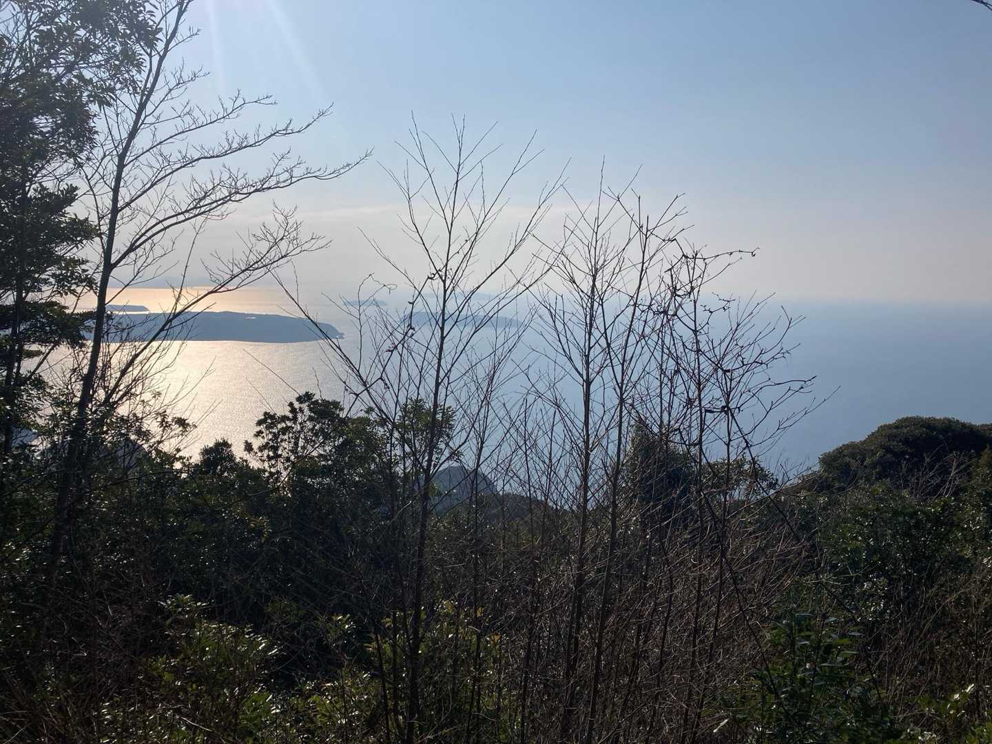 サエガ峠-遠岳山 往復コースの写真