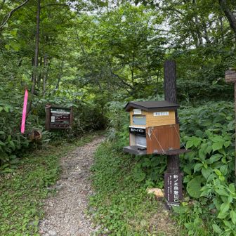 無事に下山しました😮‍💨
下山は長かった〜🤣
ありがとうございました⛰️🤍🌸🎵
