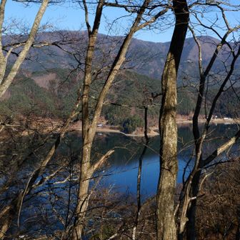 葉が落ちた冬の木々の間から河口湖が見える。