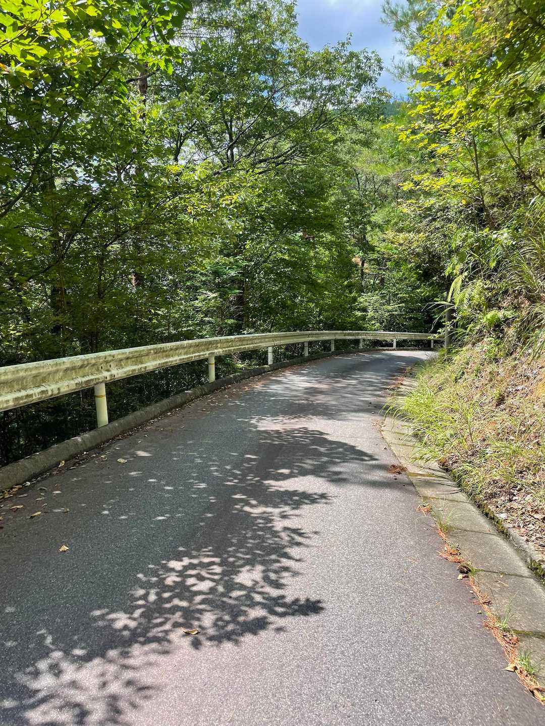 県央の森🅿️にとめたらしばらく下り