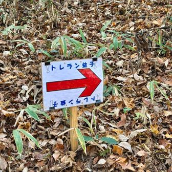 トレラン益子なんだ！
ムッチムチのお兄さんお姉さん。自分より年取ってんじゃね？みたいなおじさんおばさん。いっぱい追い越されました😅