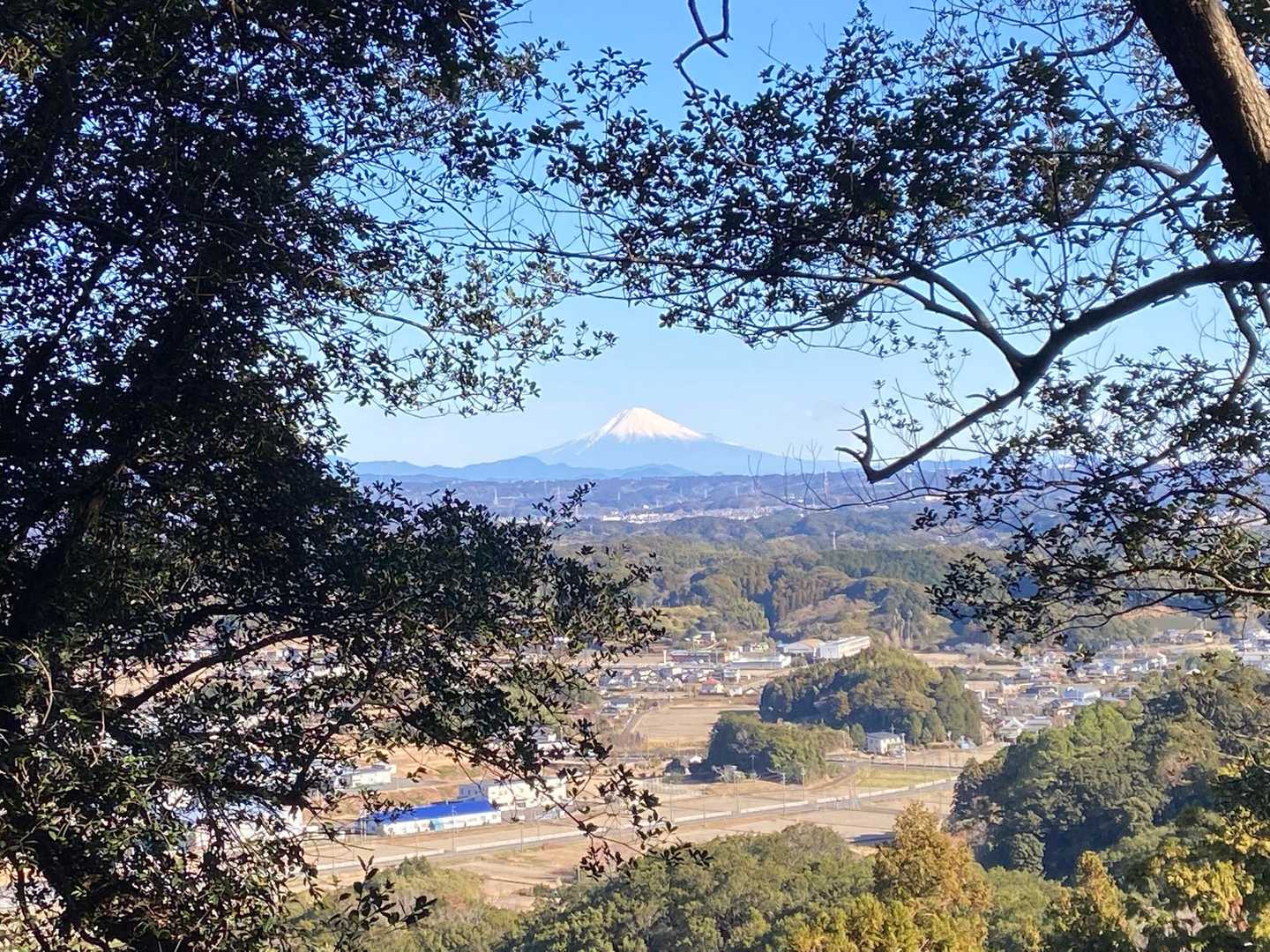 木々の間から富士山が見えました🗻