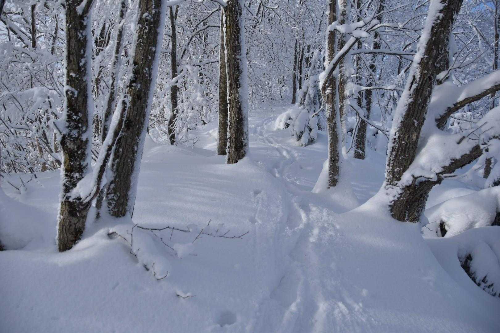 北面白山登山入口-三沢山-面白山 往復コースの写真