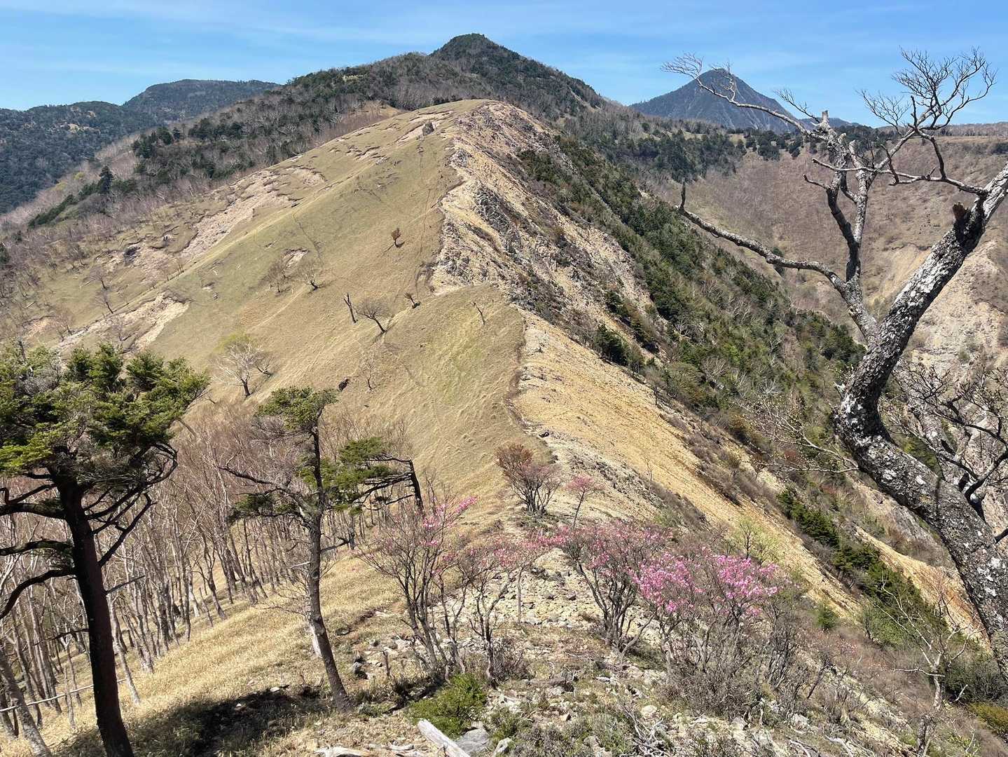 公園入口バス停-中倉山登山口-中倉山-沢入山-オロ山 周回コースの写真