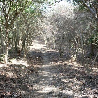 宝珠山にむかいます