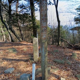 ゴサさんお久しぶり　イタダキますよ🦖