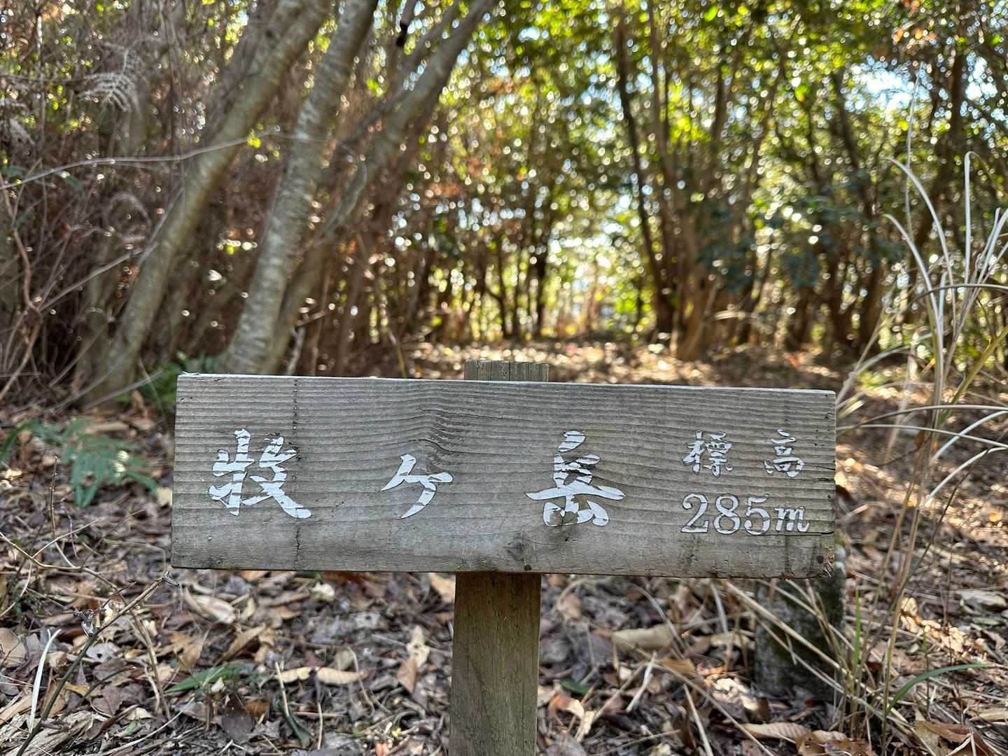 牧ヶ岳に到着