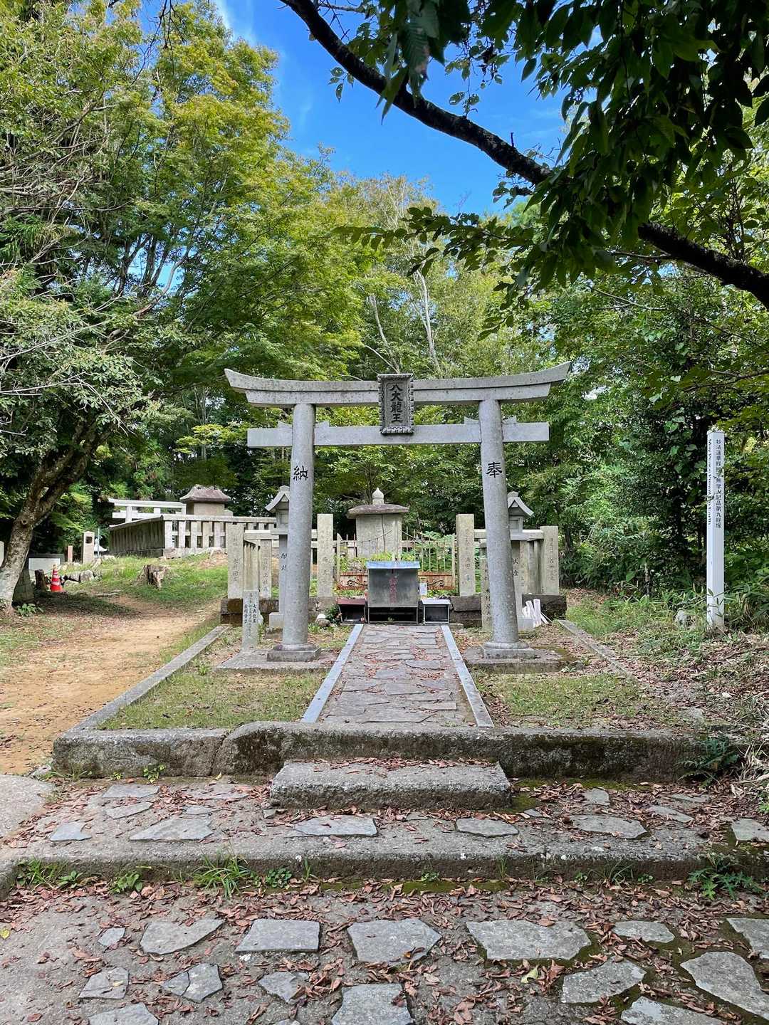 蕎原バス停-枇杷平-葛城山 縦走コースの写真