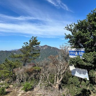 景色良かった
