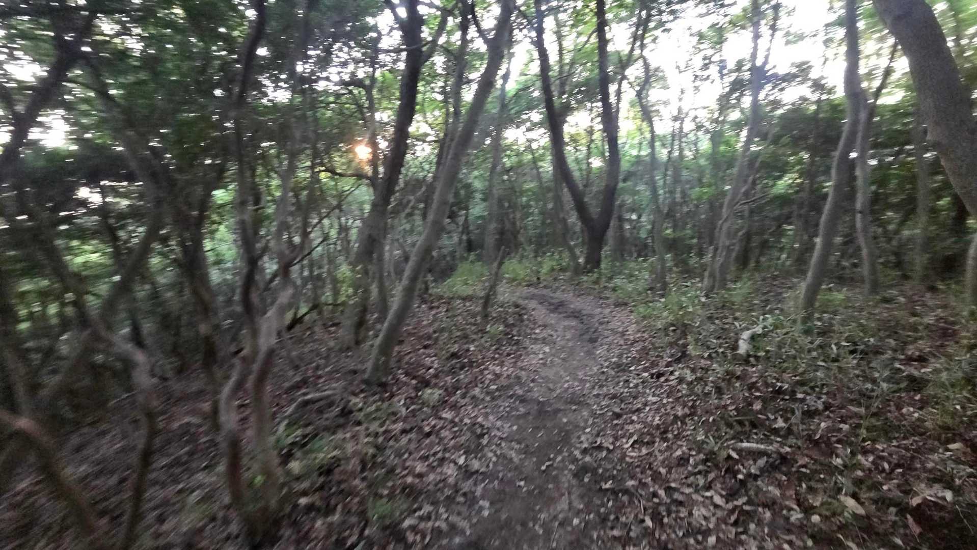 スピード上がらんｸｿですね