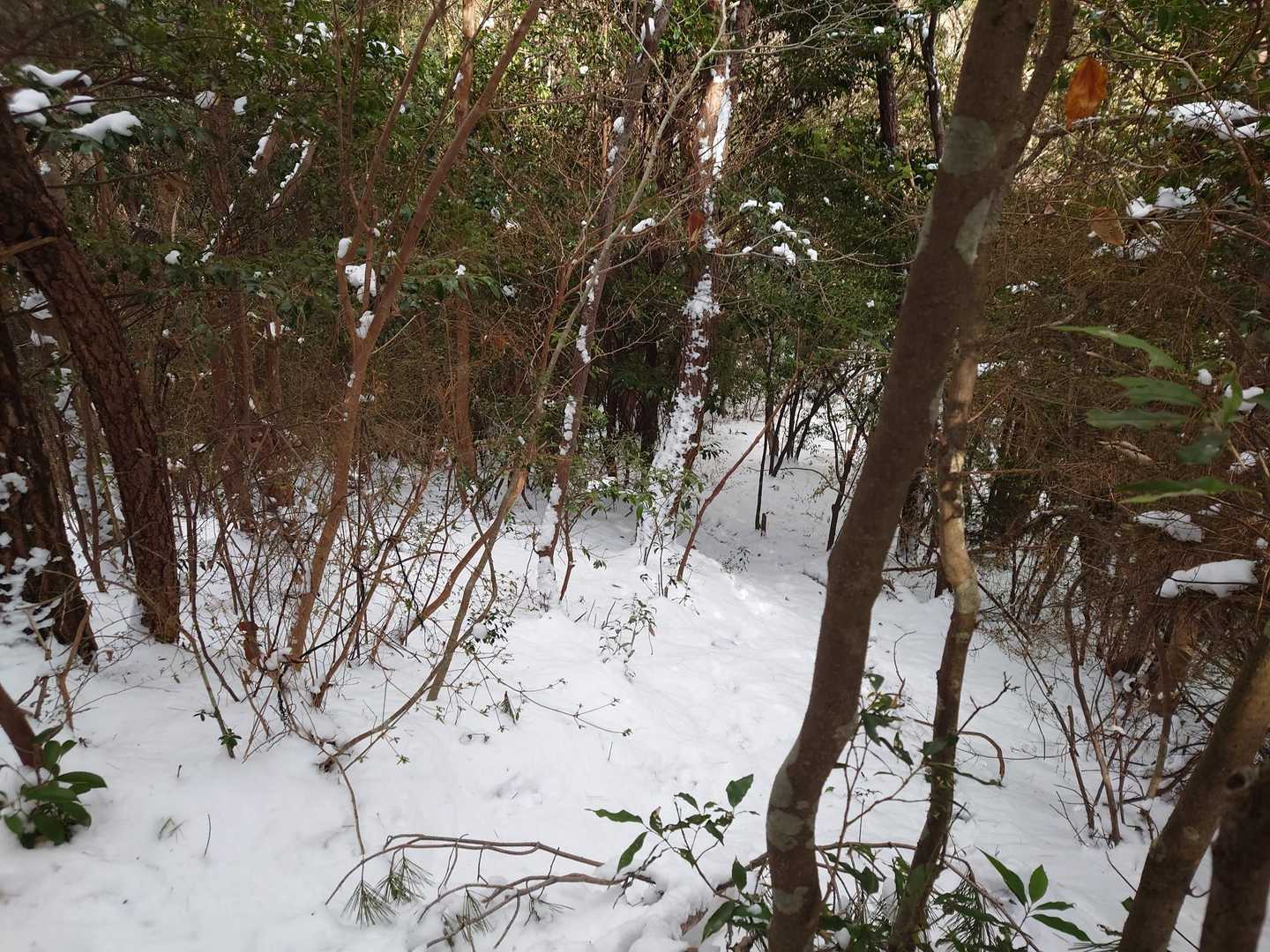 あまりの激下りと雪に進むべきか撤退か悩んだ末、頑張って進むことに‼️