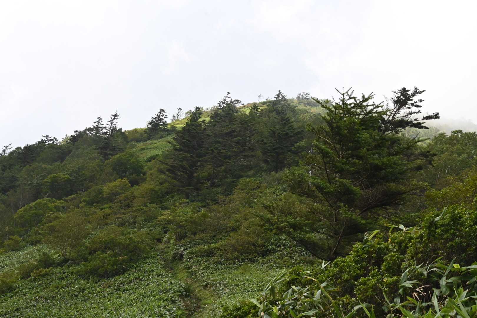 瑪瑙山へ
この登り返しはちょっとキツい