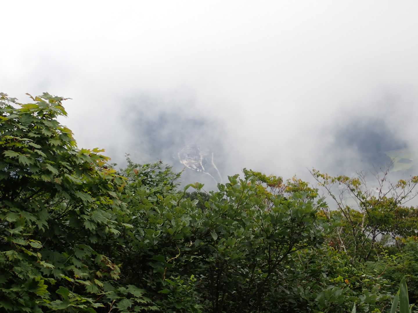 やっと見たかった田園風景が見えました