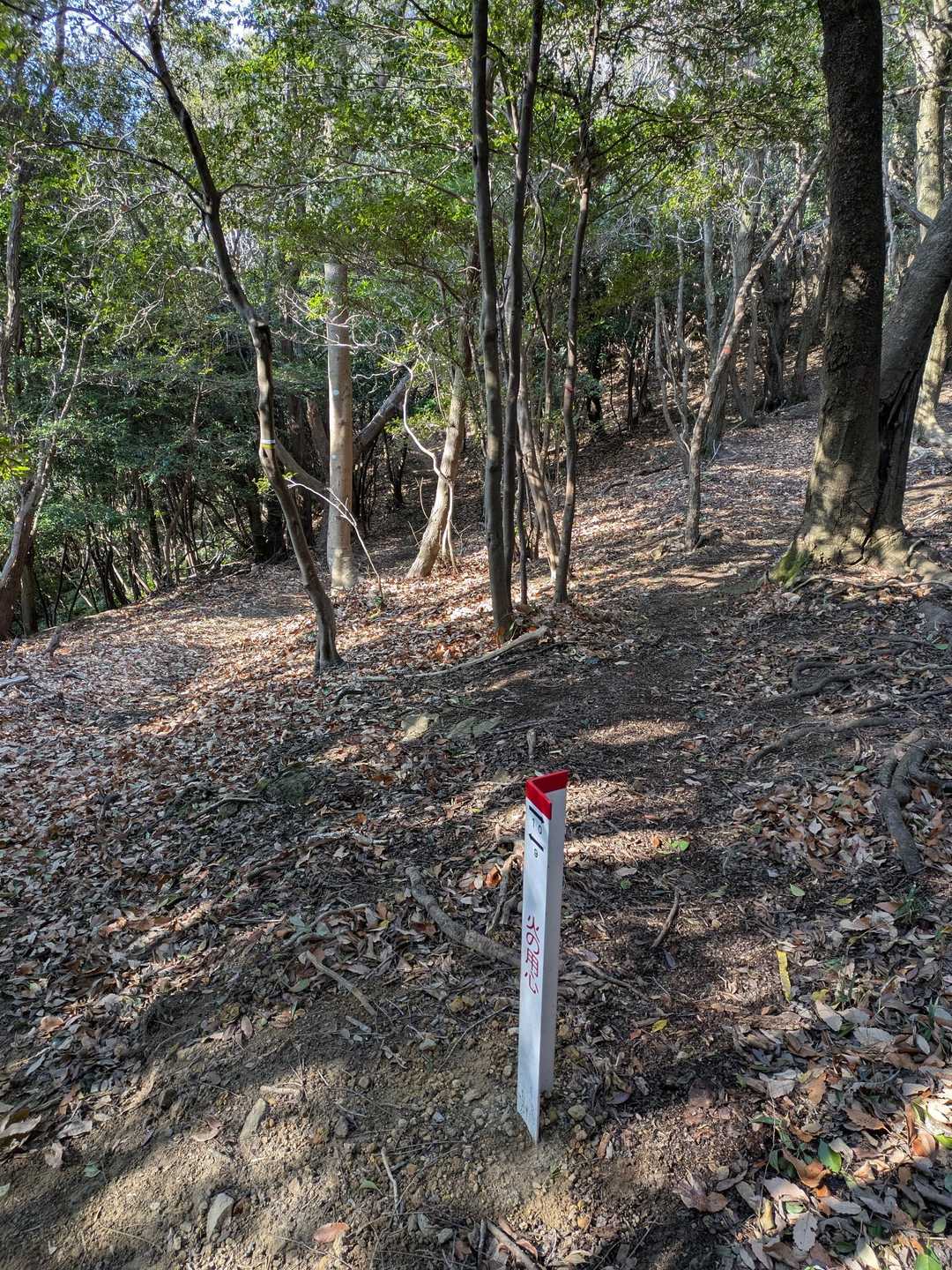 分岐、どちらから？右から行ったけど先で一緒になりました
左が良かったかな！