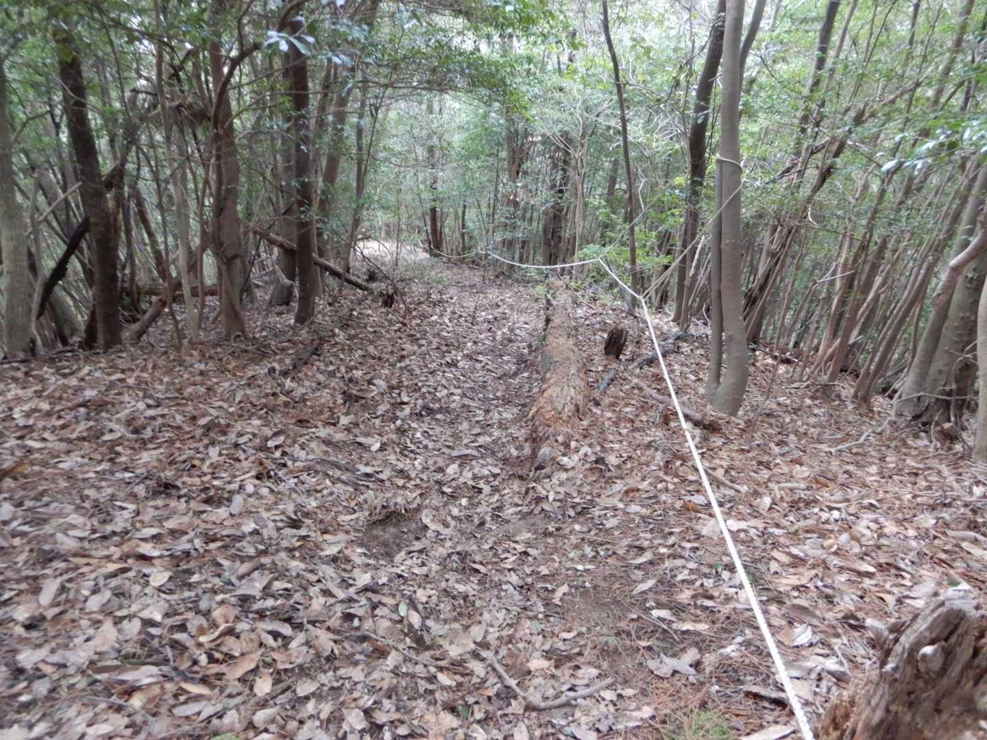 下山は「がんばりコース」　
ほとんどロープに頼らないと滑る😅