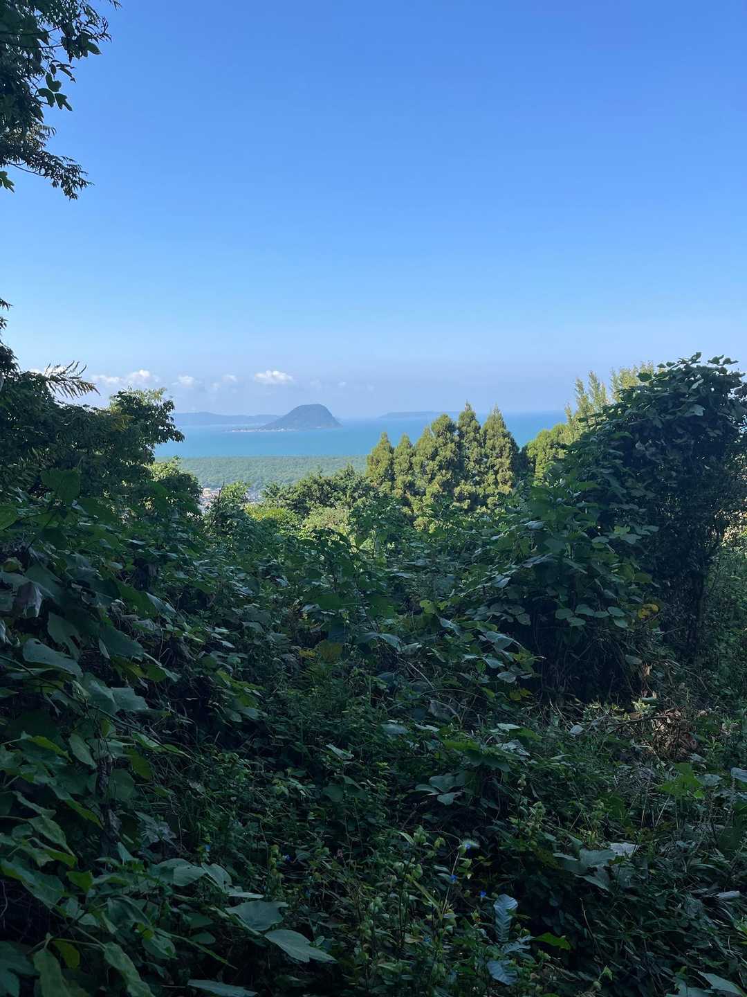 鏡山往復 | 唐津の美しい海を一望。登山口近くには「鏡山温泉」もの写真