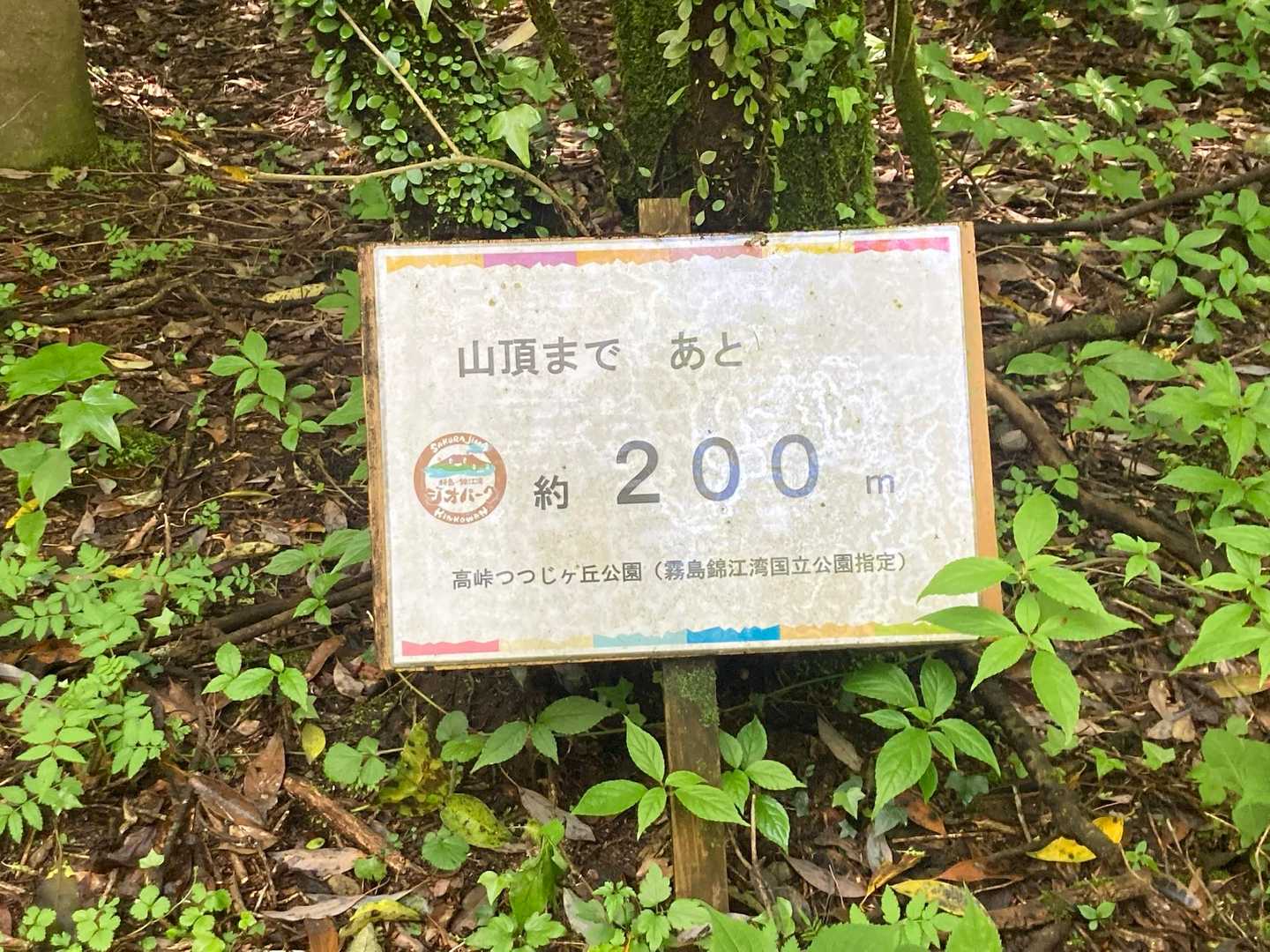 高峠 往復コースの写真