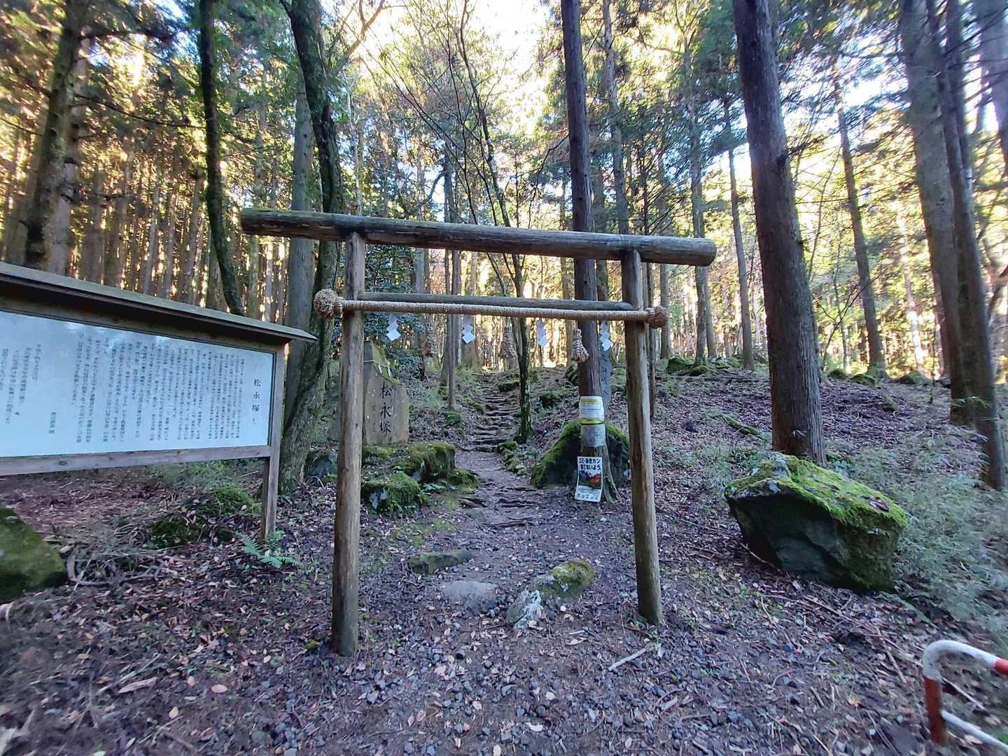 鳥居をくぐって出発🎵