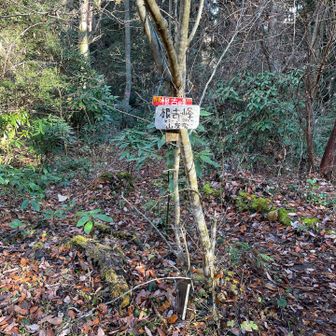 ３つ目　根古峰