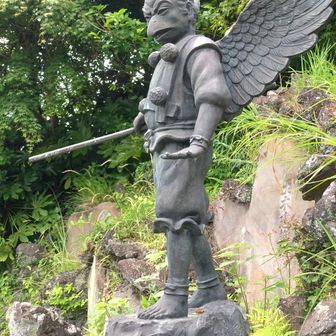 イケメンの天狗さん👺