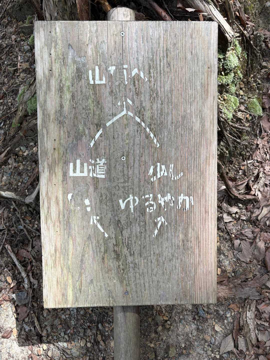 おいおい、舐めんじゃねーぞ！何年山歩いてると思ってんだよ！選ぶルートに迷いなんてねーだろ！？…右一択！しんどいのは苦手です(^_^;)