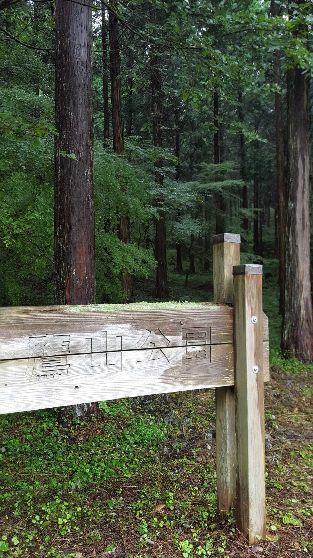公園で一息