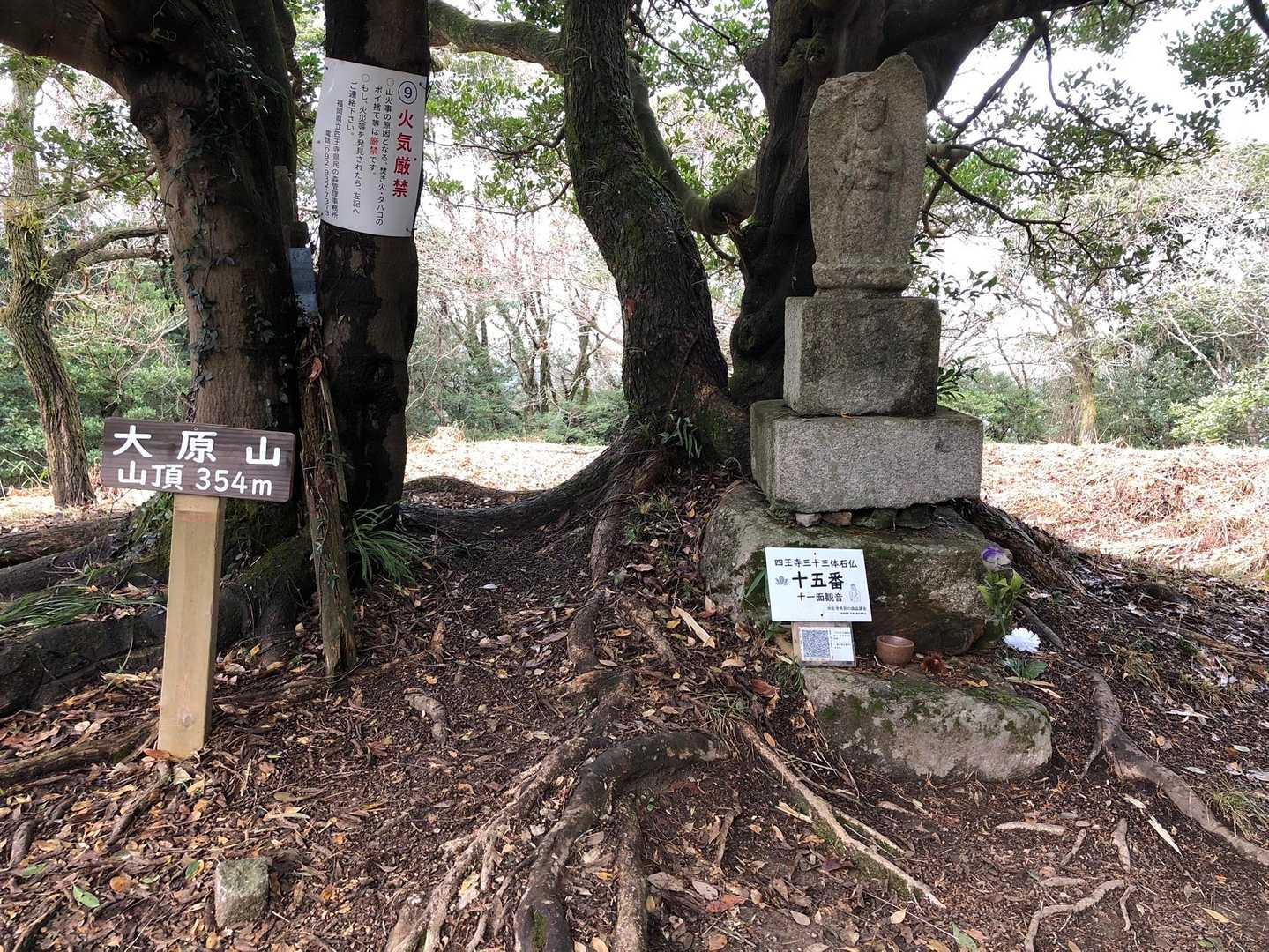 大原山ゲット🙆🏻‍♀️