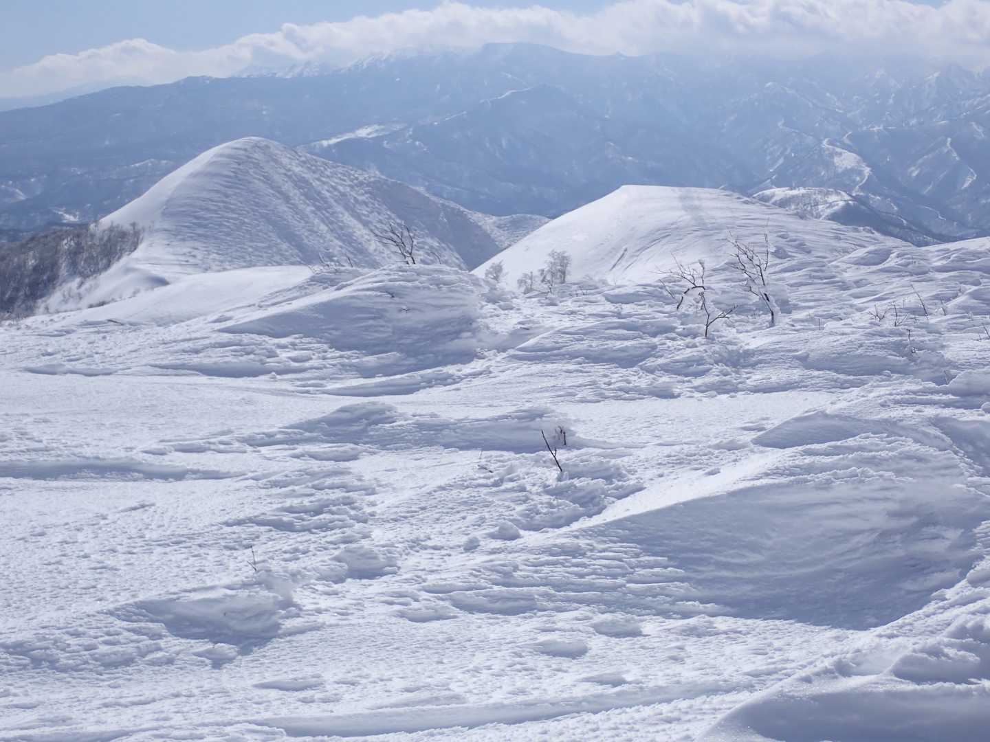栗子の山頂付近