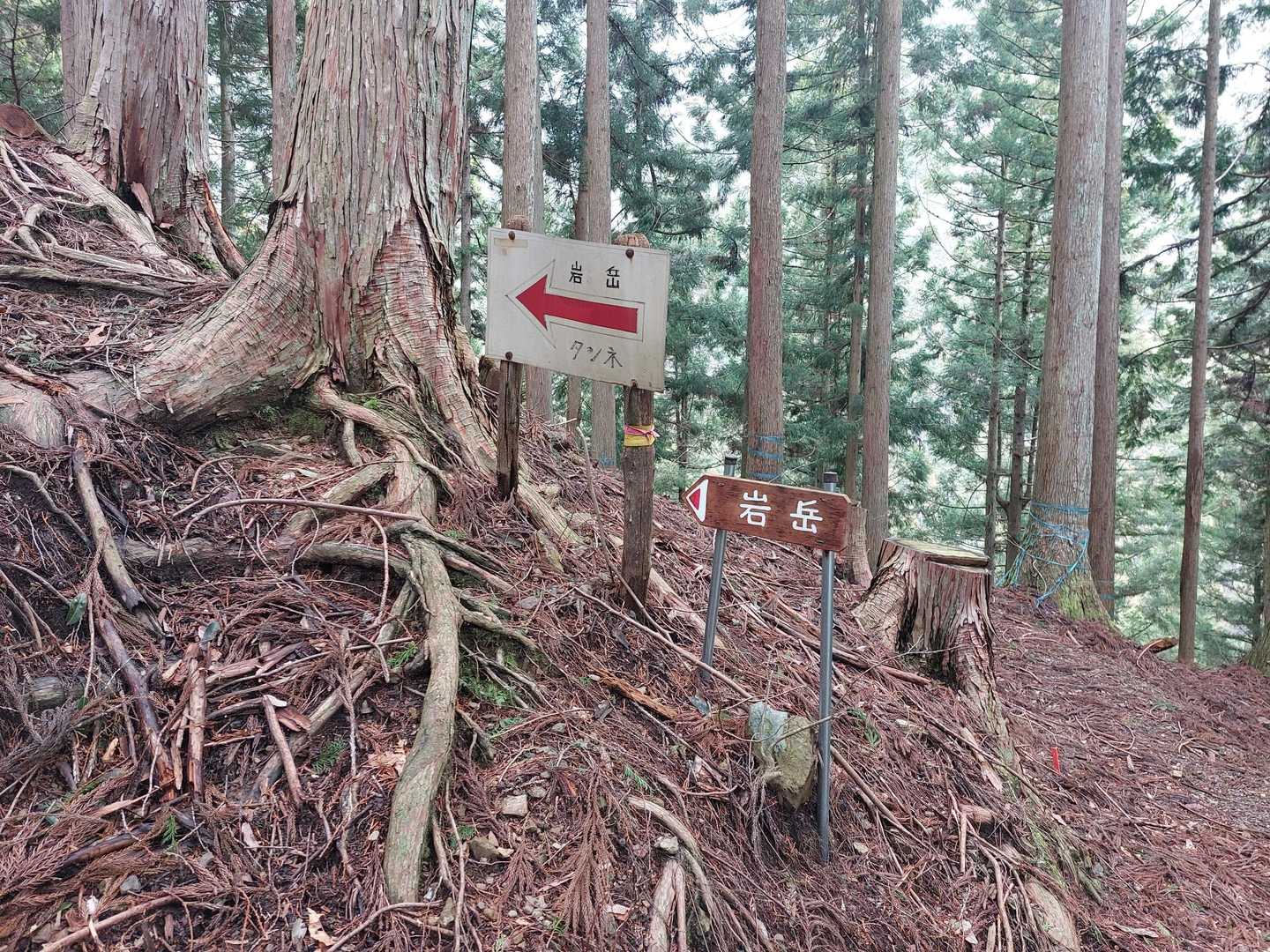ここから斜度が上がりました💦