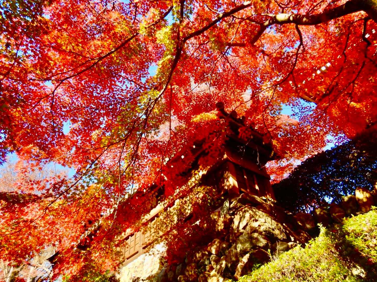 天覧山-多峯主山 周回コースの写真