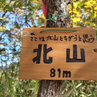 北山じゃないのか？😆