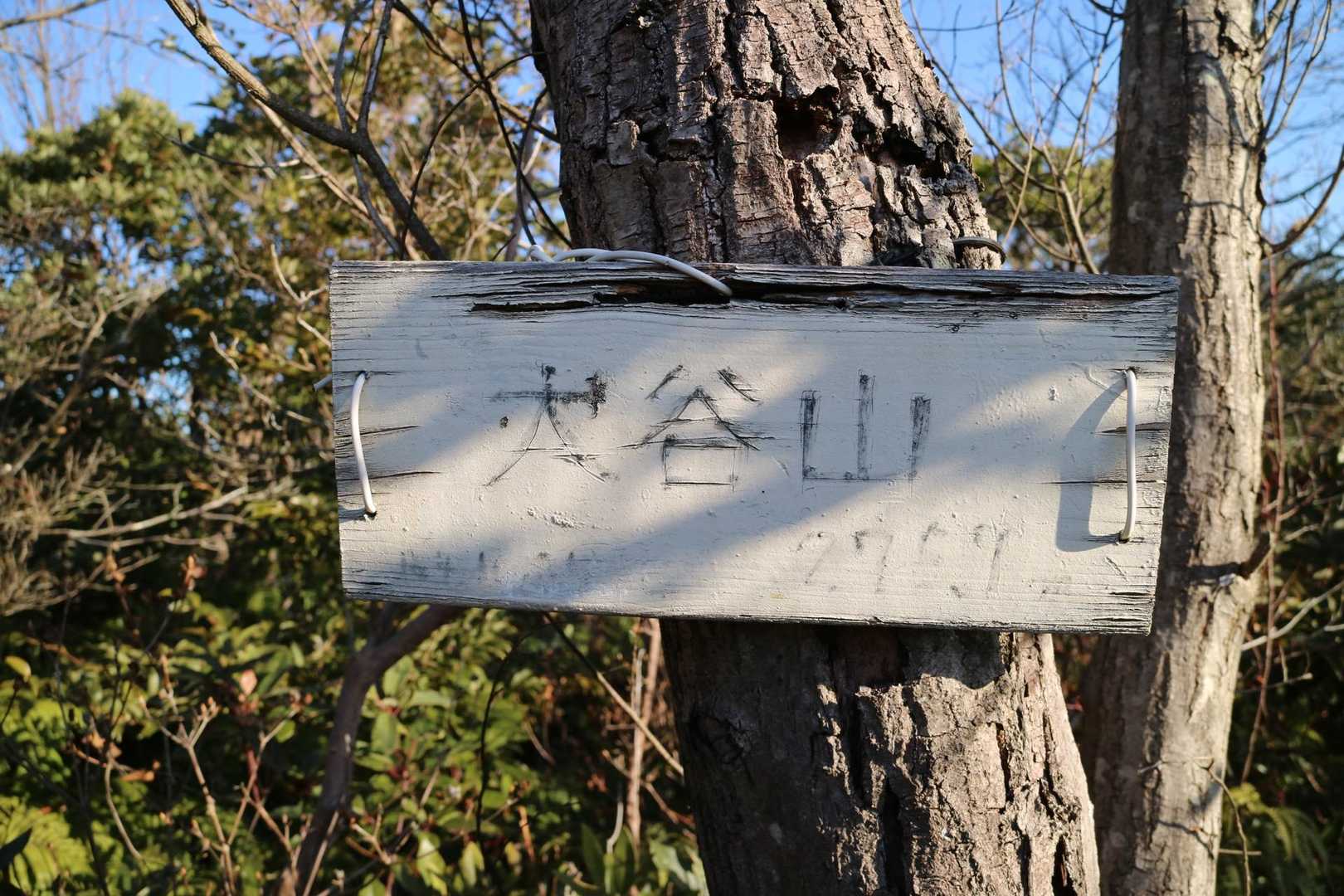 大谷山⚾️