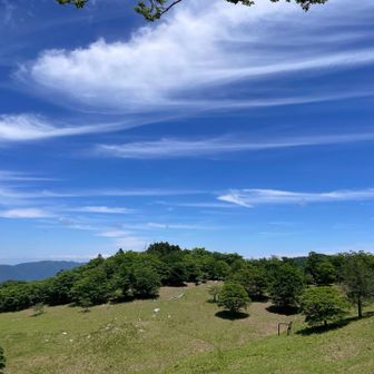 この先のサザエさんハウス辺りには
妙に慣れているキツネが出てくる

しかし何も貰えないと察すると
さっと姿を消す