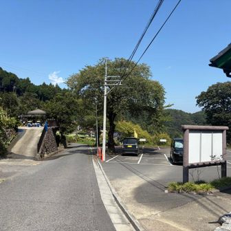 おっ…あれはまさか……？
