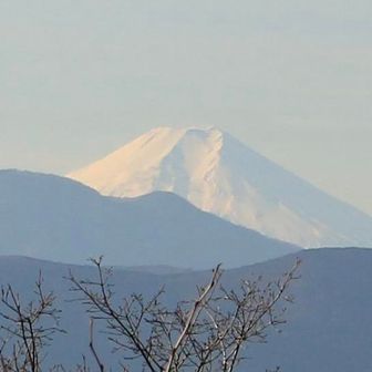 関八州見晴台、ひと組しかいない。
予約無しですぐ入れました笑
