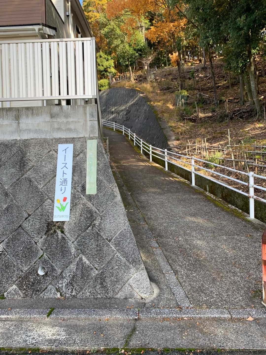 振り返って写真🤳
イースト通り🌷
というとこでした