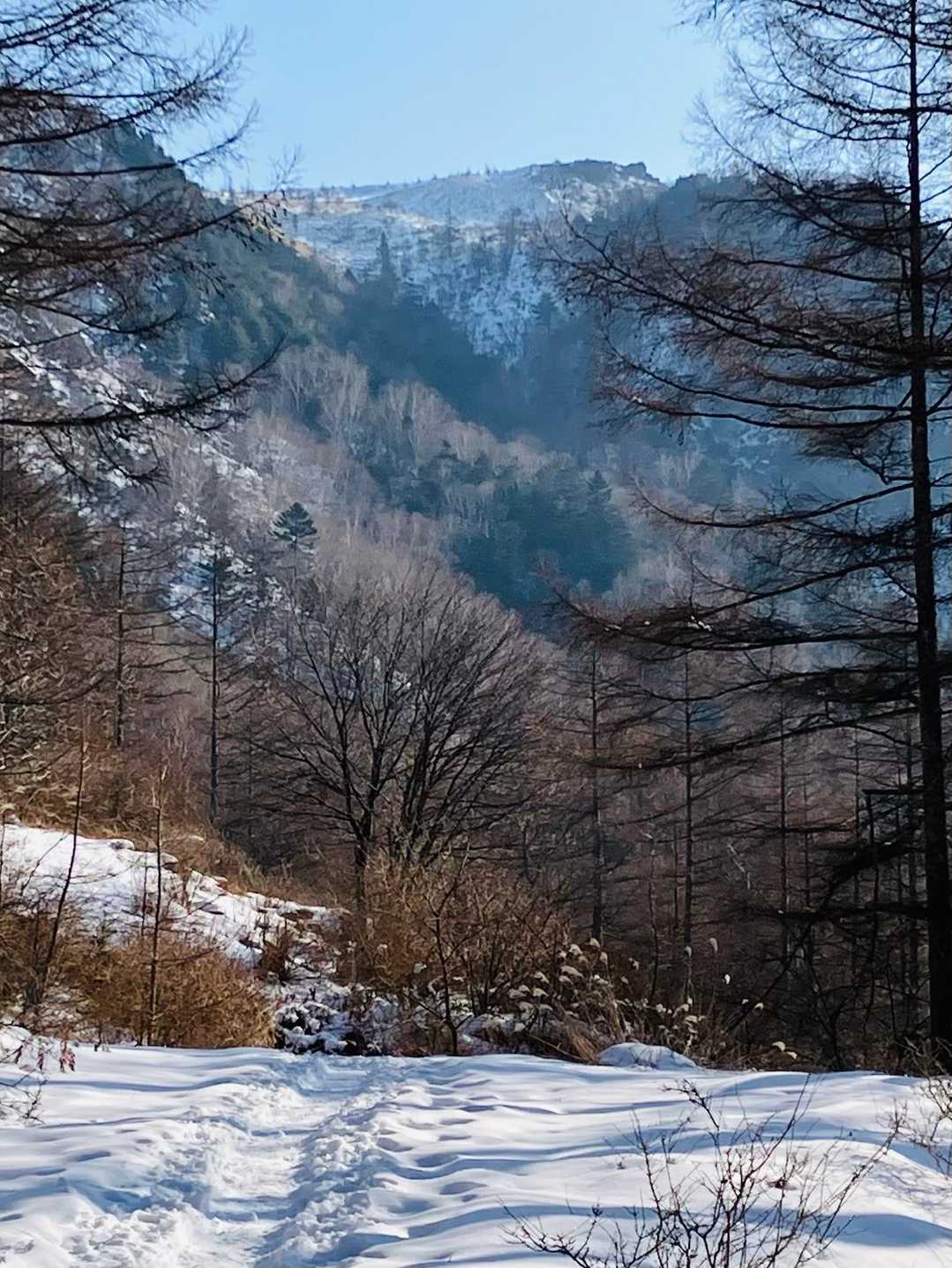 美ヶ原 往復コースの写真
