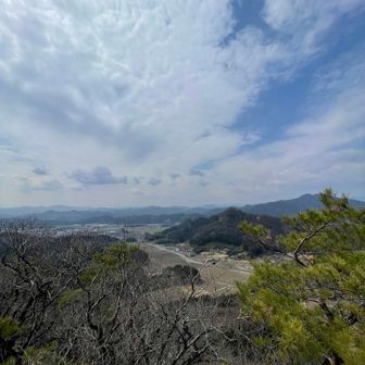 山頂からの眺め。
