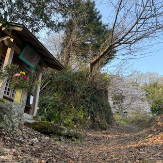 トレイルの時間です