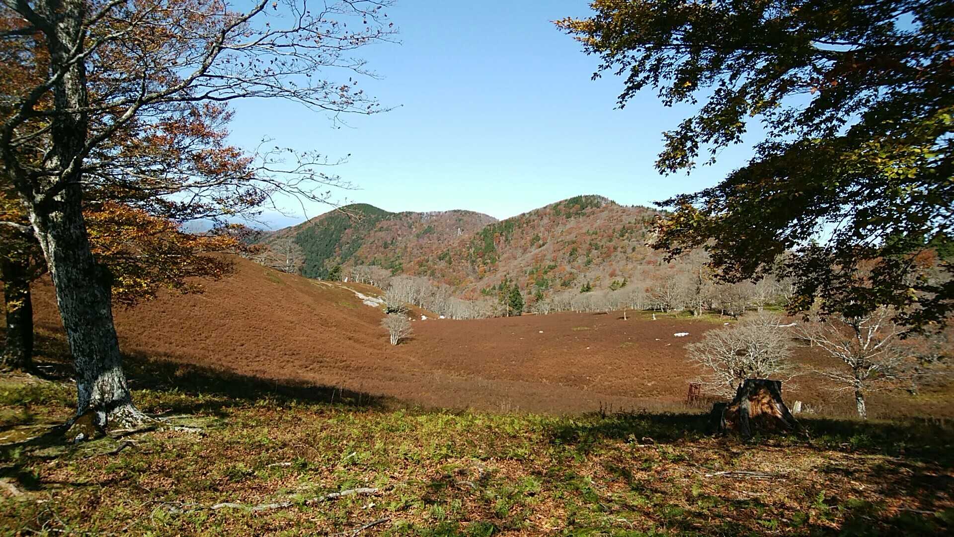 前山の写真