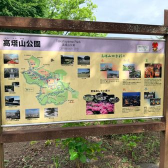 高塔山公園に車を停めて出発〜
小学生ぶりの高塔山