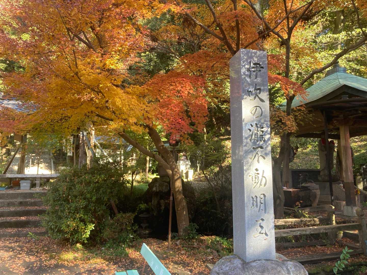 岩滝白山 往復コースの写真