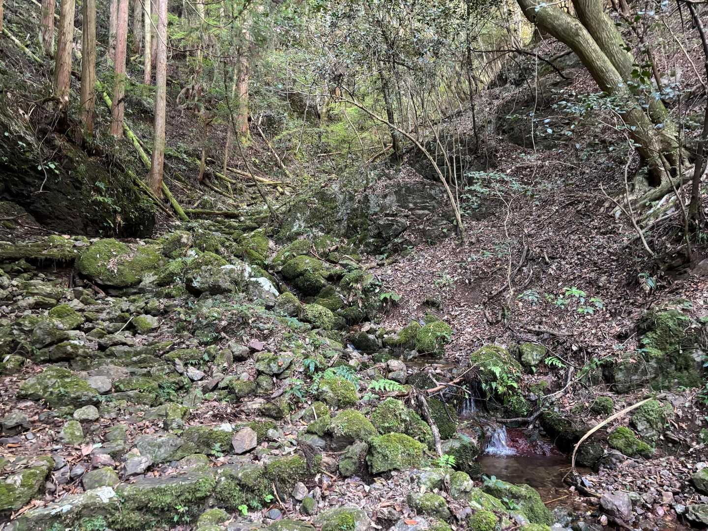 沢の音色🤗