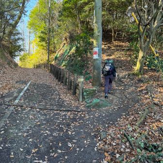 もういっちょ山頂とりに