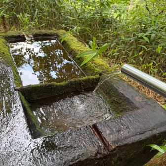池山・空木岳分岐点の水場
ペットボトル一本分を補給