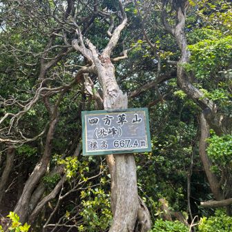 四方草山（北峰）に到着