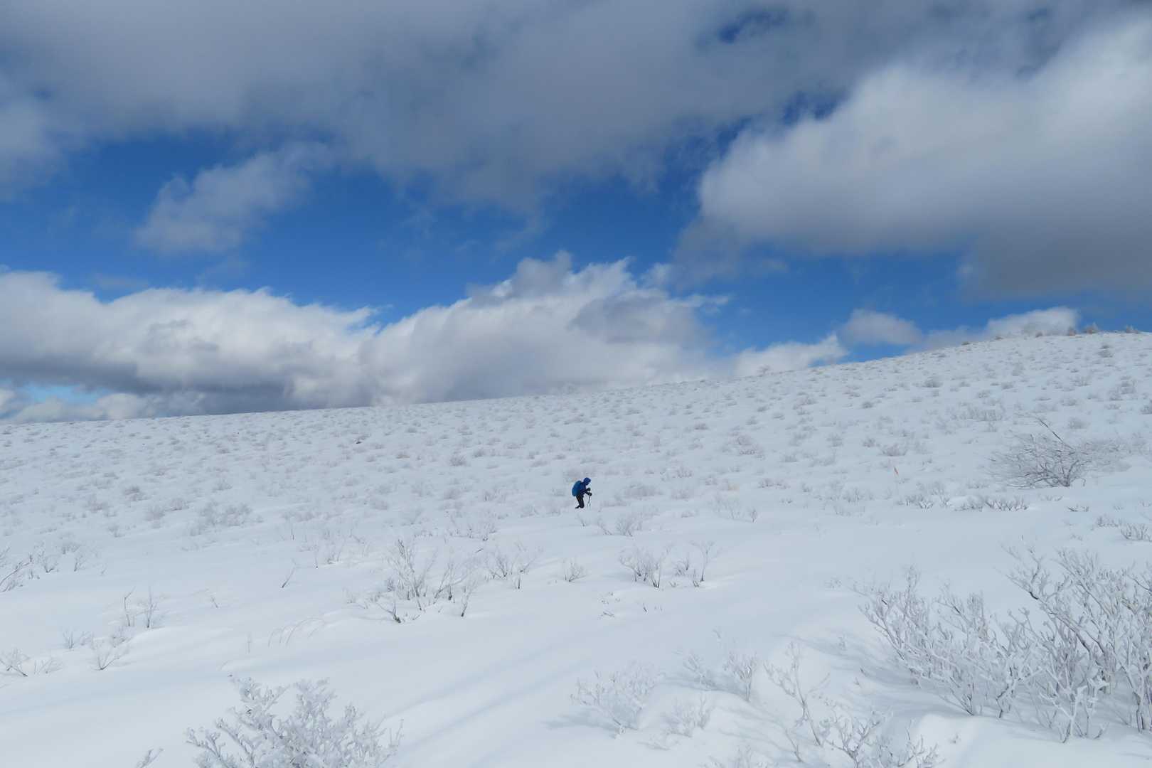 他に誰もいない純白の雪原❄、そして青空が嬉しい🔵✨