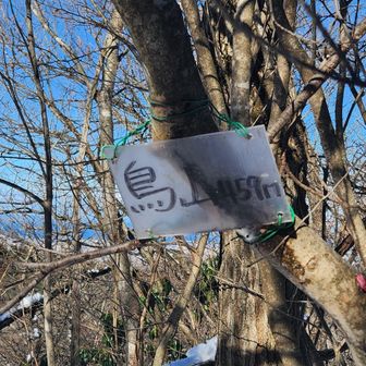 展望台へ行く途中の鳥山
最近ヤマップの地図でピークになったらしい⛰️